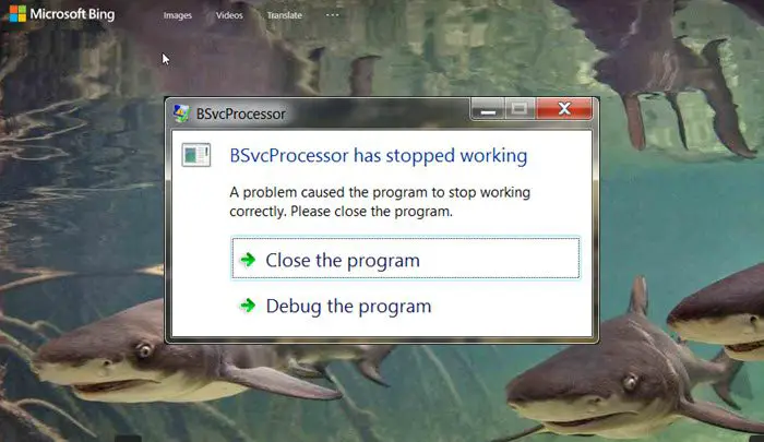 BSvcProcessor が Windows 11/10 で動作を停止しました