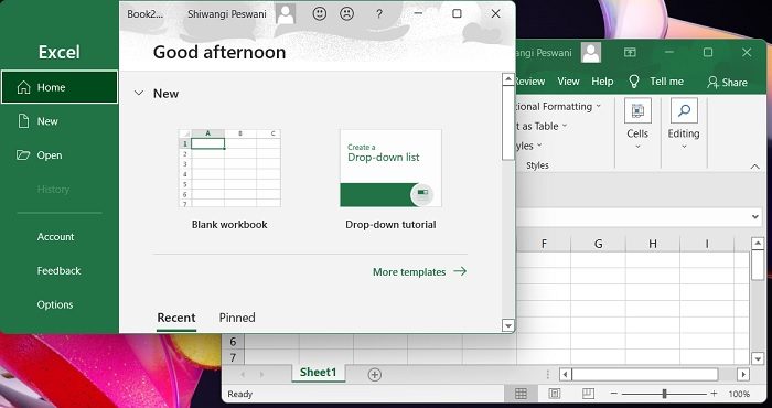 2つのExcelファイルを別々のウィンドウで開く方法