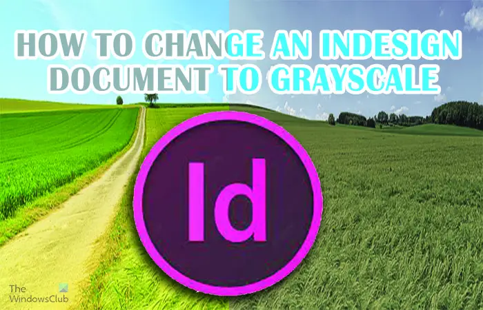 InDesign ドキュメントをグレースケールに変換する方法