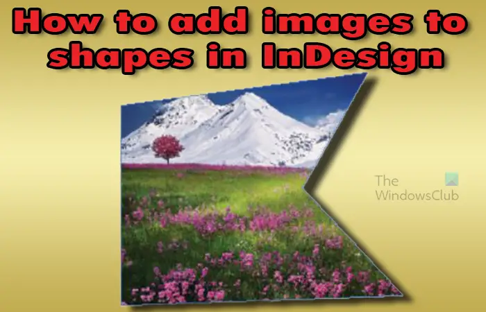 InDesignで画像をフレームに配置する方法