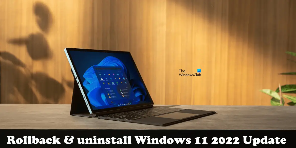 Windows 11 24H2 Update をロールバックまたはダウングレードする方法